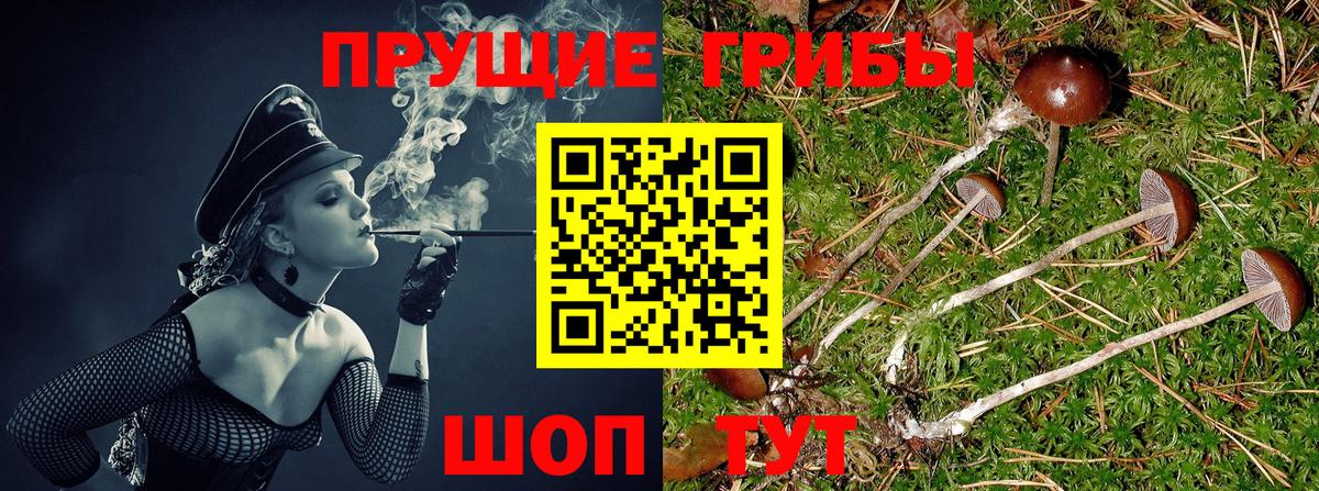 где можно купить наркотик  Вход с VPN  Кумертау  Галлюциногенные грибы Magic Shrooms 